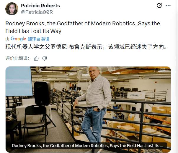 人形机器人泡沫破裂？形态之争暗藏致命隐患(图1)