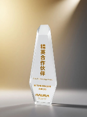 宇电温控科技获北方华创精英合作伙伴称号：半导体温控技术突破(图1)