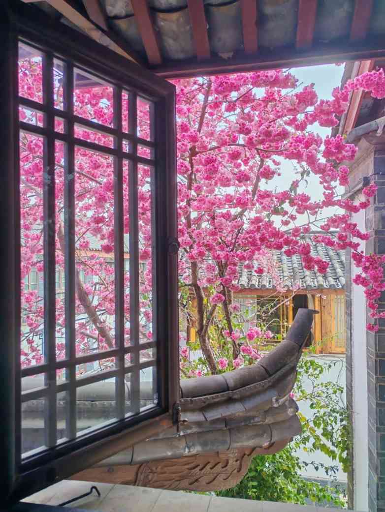 一扇窗，连接自然与内心的旅行艺术(图6)