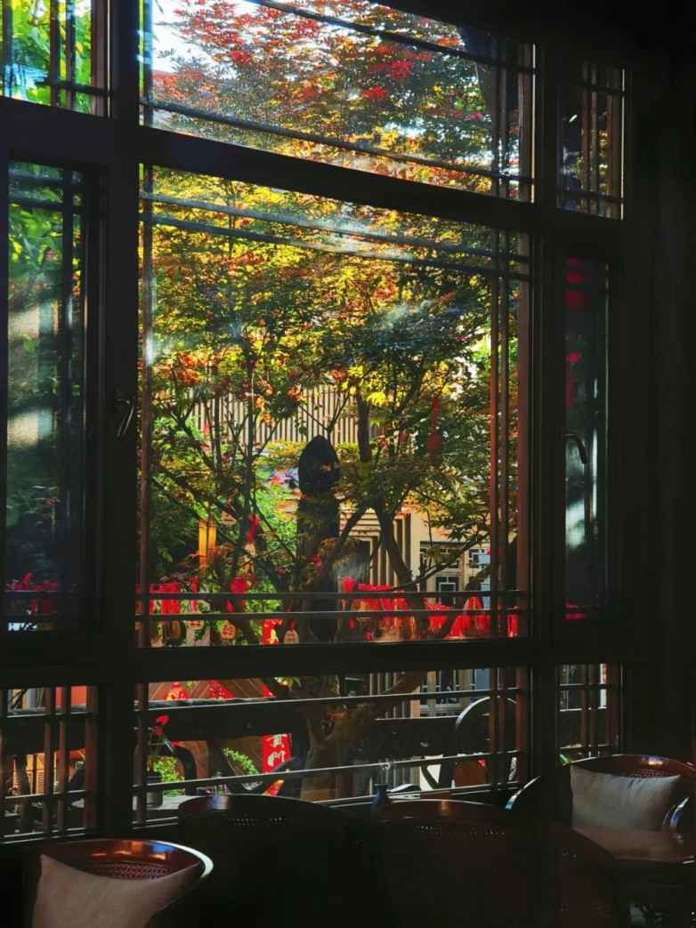 一扇窗，连接自然与内心的旅行艺术(图8)