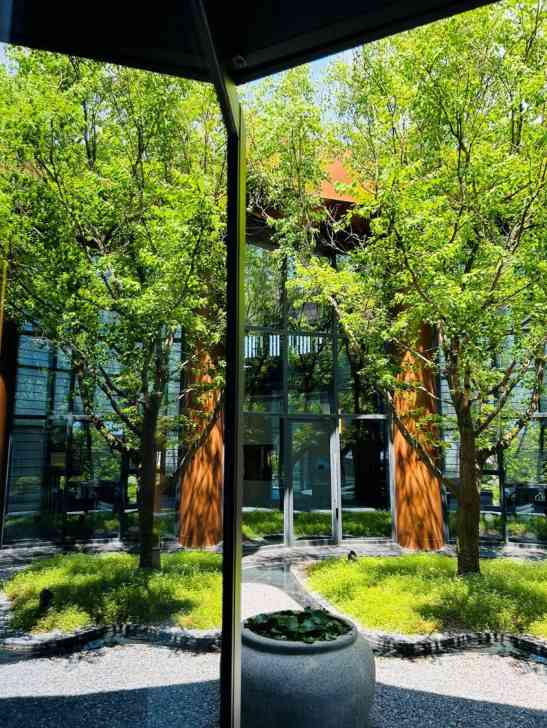 一扇窗，连接自然与内心的旅行艺术(图18)