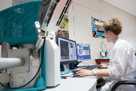 离型膜助力护肝片生产提升效率与安全标准(图3)