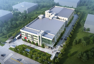 离型膜助力护肝片生产提升效率与安全标准(图4)