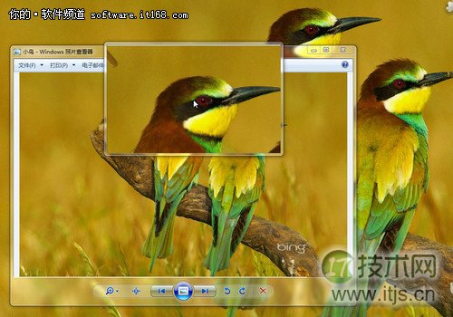 巧用Windows 7放大镜 视力不好也能轻松上网