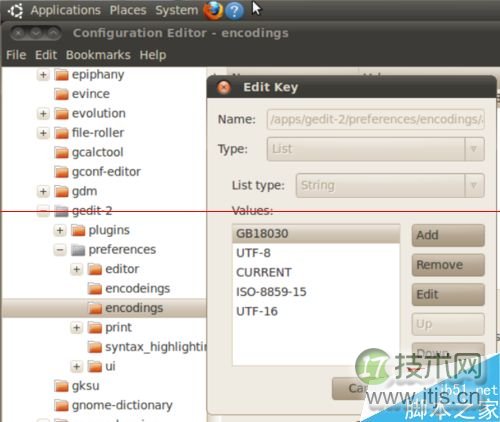 ubuntu系统下gedit出现中文乱码的两种解决方法(图13)