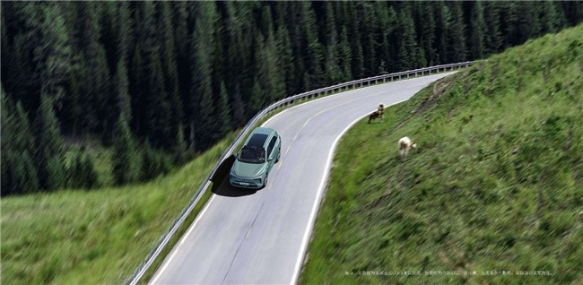 30万左右SUV推荐：新能源越野车型全面解析(图2)