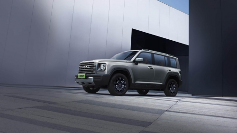 20万左右硬派SUV推荐 新能源越野车哪个好(图3)