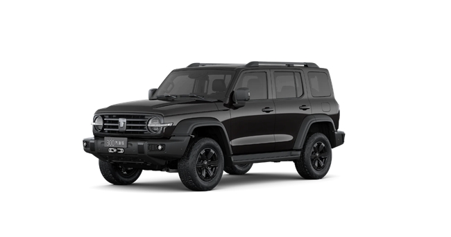 20万左右SUV推荐：坦克300哈弗H9等家用硬派SUV全面解析(图3)