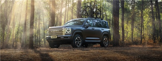 20万左右燃油SUV推荐：坦克300哈弗H9等五款车型全面解析(图2)