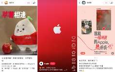 苹果官方入驻小红书引爆社区互动 数码品牌加速布局新兴社交平台(图2)