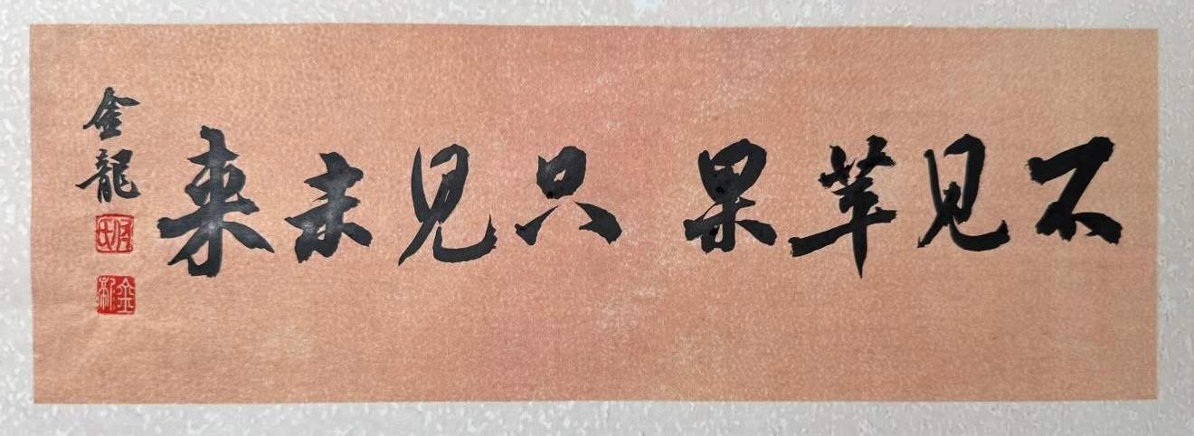 中国全屏通头显技术突破，轻薄设计挑战苹果Vision Pro(图4)