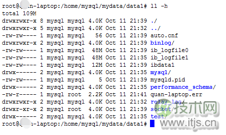 MySQL单机多实例配置详解及主从复制搭建完整指南(图1)