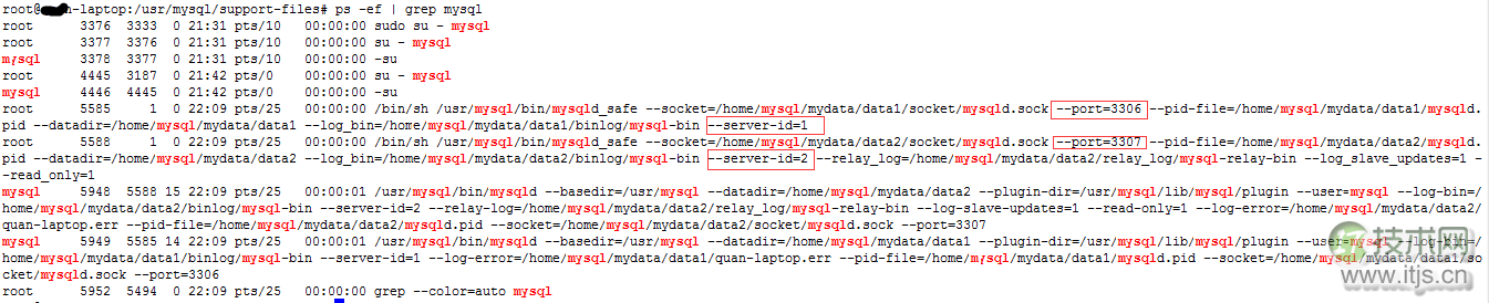 MySQL单机多实例配置详解及主从复制搭建完整指南(图2)