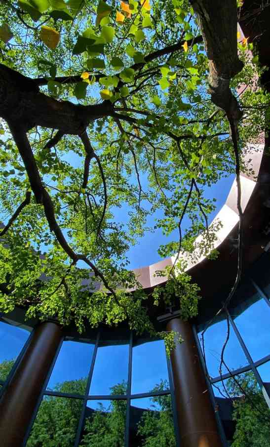 屋檐下的诗意时光：从瓦片到天井的人文美学(图4)