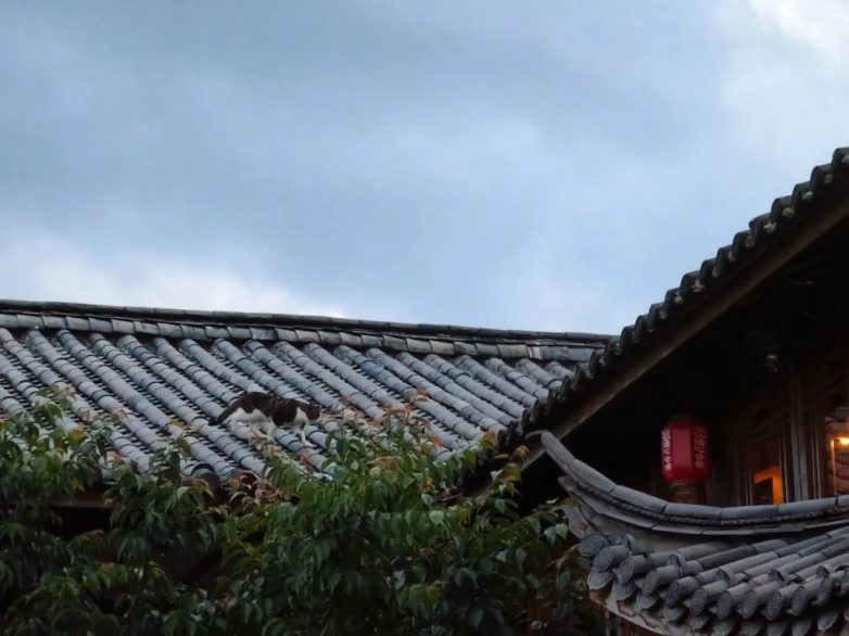 屋檐下的诗意时光：从瓦片到天井的人文美学(图8)