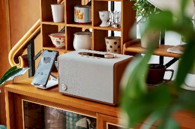 杰科Q25臻品音箱亮相阳江十八子音乐节，Wi-Fi直传母带音质震撼业界(图7)