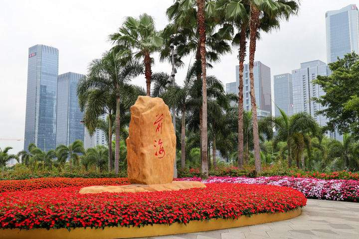 深圳经济特区45年发展历程与改革创新动能分析(图7)