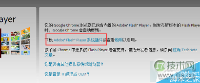 点击“Adobe® Flash® Player系统插件