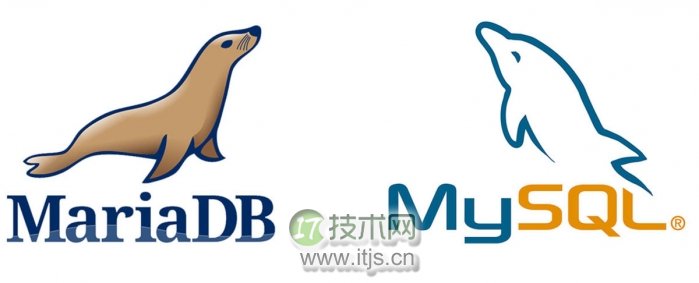 Linux 上从 MySQL 迁移到 MariaDB 的简单步骤