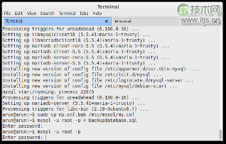Linux 上从 MySQL 迁移到 MariaDB 的简单步骤
