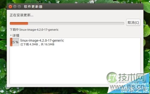 Ubuntu系统手动更新升级完整教程，图形界面与命令行操作指南(图8)