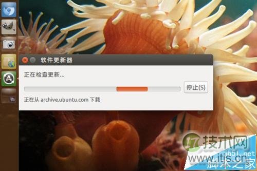 Ubuntu系统手动更新升级完整教程，图形界面与命令行操作指南(图4)
