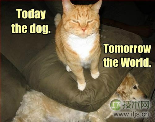 9f2ae439jw1dtzyp6e8n0j