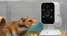 异宠智能摄像头AI模组技术解析：精准识别多宠品种行为健康状态(图2)