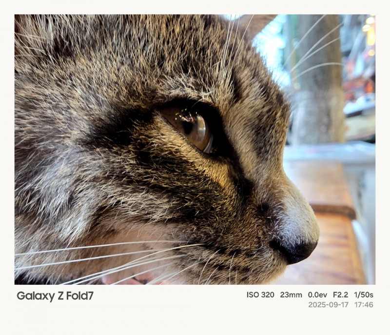 折叠屏影像新标杆 成都站体验数字化光影的魅力(图9)