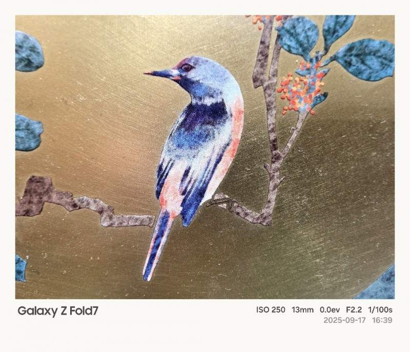 折叠屏影像新标杆 成都站体验数字化光影的魅力(图8)