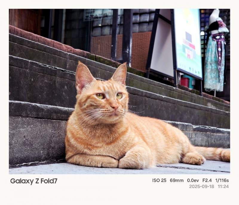 折叠屏影像新标杆 成都站体验数字化光影的魅力(图15)