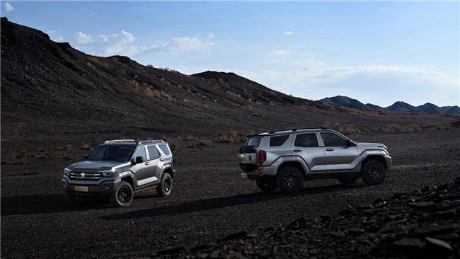 20-30万中型SUV推荐：新能源车型满足多元化出行需求(图1)