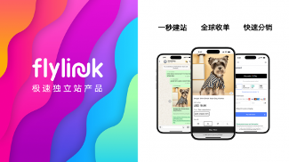 FlyLink 以创新商业模式入选世界互联网大会跨境电商实践案例集(图4)