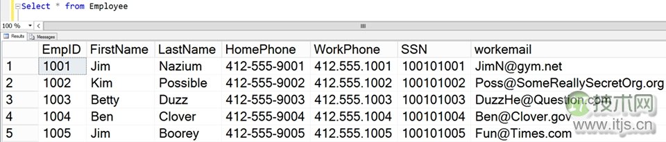 【SQL Server 2016动态数据屏蔽入门】配置动态数据屏蔽(图3) 【SQL Server 2016动态数据屏蔽入门】配置动态数据屏蔽(图3)