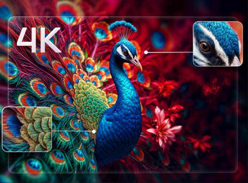 自然光影沉浸体验｜4K投影科技突破(图5)