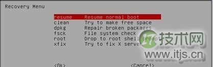 忘记Ubuntu密码如何通过Recovery Mode重置(图4)