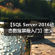 【SQL Server 2016动态数据屏蔽入门】定义屏蔽(图4) 【SQL Server 2016动态数据屏蔽入门】定义屏蔽(图4)