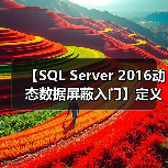 【SQL Server 2016动态数据屏蔽入门】定义屏蔽(图2) 【SQL Server 2016动态数据屏蔽入门】定义屏蔽(图2)