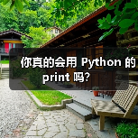 你真的会用 Python 的 print 吗?(图4) 你真的会用 Python 的 print 吗?(图4)
