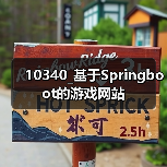10340_基于Springboot的游戏网站(图3) 10340_基于Springboot的游戏网站(图3)
