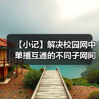 【小记】解决校园网中单播互通的不同子网间的 LocalSend 发现问题（图2）
