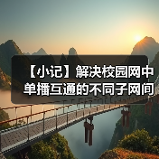 【小记】解决校园网中单播互通的不同子网间的 LocalSend 发现问题（图1）