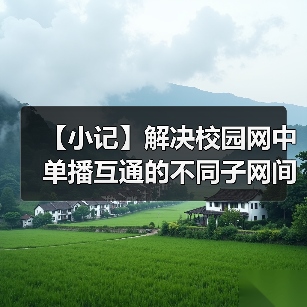 【小记】解决校园网中单播互通的不同子网间的 LocalSend 发现问题（图4）
