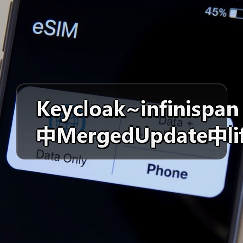 Keycloak~infinispan中MergedUpdate中lifespanMs和maxIdleTimeMs（图2）