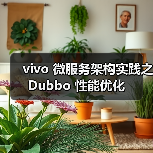 vivo 微服务架构实践之 Dubbo 性能优化(图4) vivo 微服务架构实践之 Dubbo 性能优化(图4)