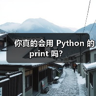你真的会用 Python 的 print 吗？（图3）
