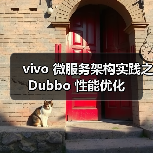 vivo 微服务架构实践之 Dubbo 性能优化（图4）