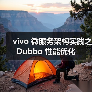vivo 微服务架构实践之 Dubbo 性能优化（图3）
