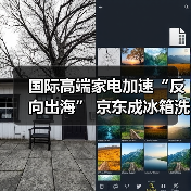 国际高端家电加速“反向出海” 京东成冰箱洗衣机品牌入华首选阵地（图2）