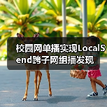校园网单播实现LocalSend跨子网组播发现(图2) 校园网单播实现LocalSend跨子网组播发现(图2)